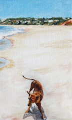 Le chien sur la plage (Popenguine, Sénégal) - 2013 - 30 X 50 cm