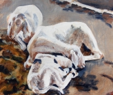 Les moutons (Dakar, Sénégal) - 2014 - 32,5 X 27,5 cm